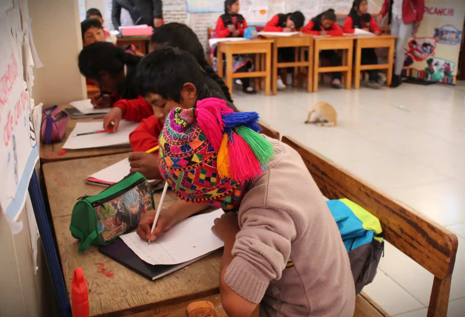 Soporte educativo - imagen 2